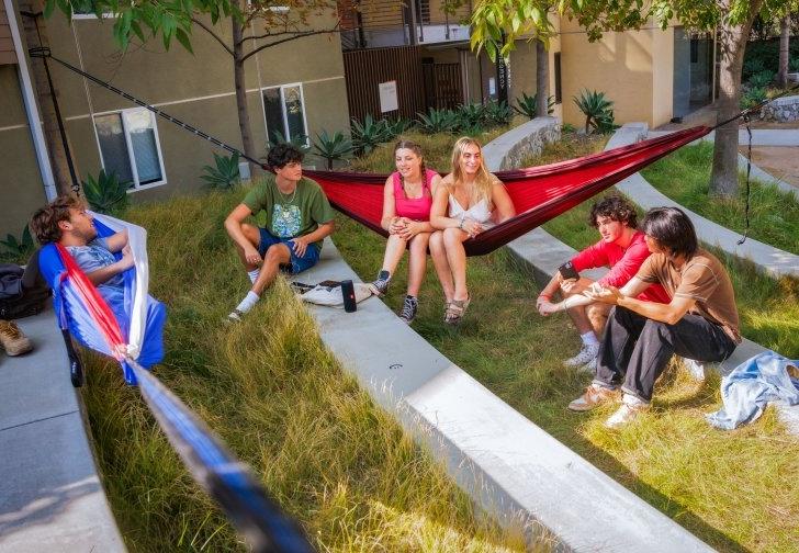 students relax in hammocks outside sanborn hall